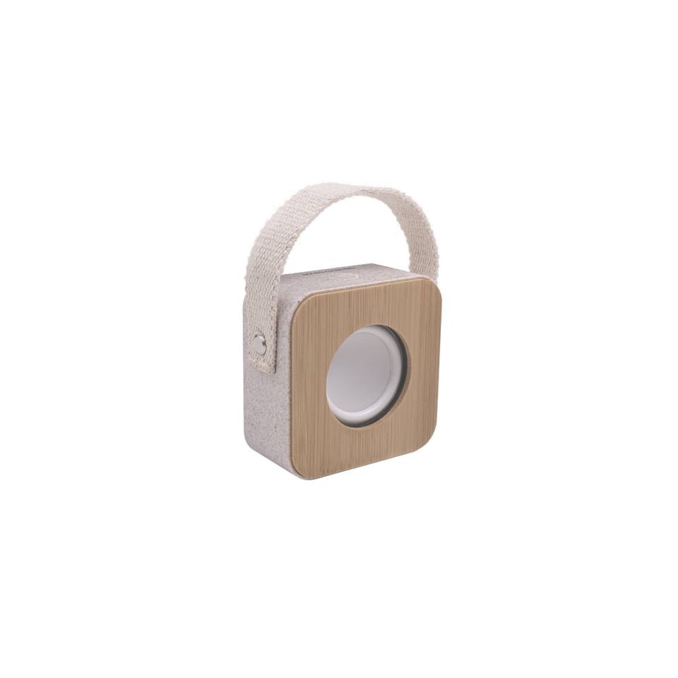 Altoparlanti per computer