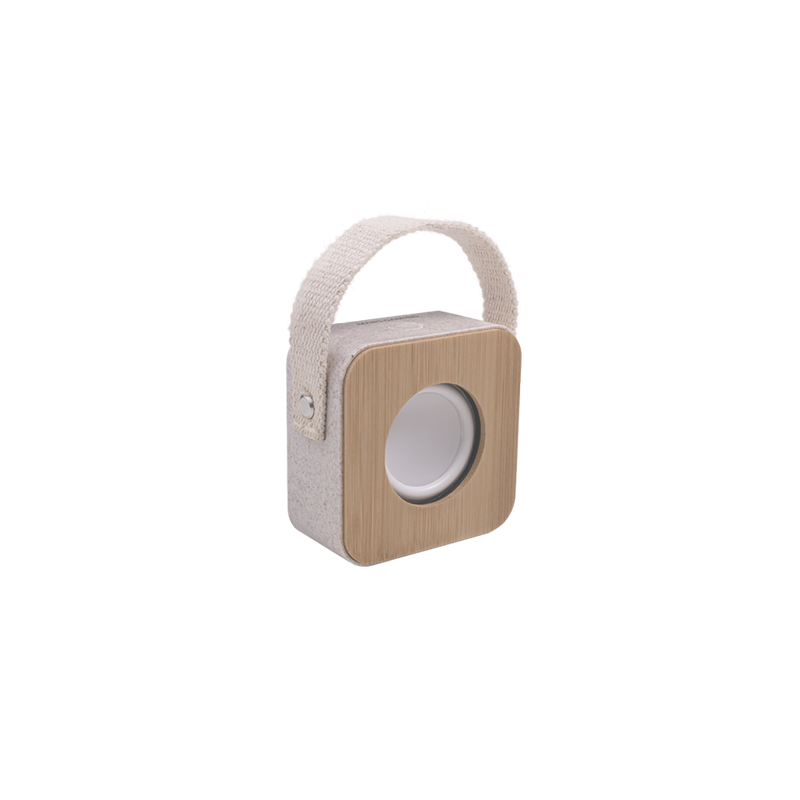 Altoparlanti per computer
