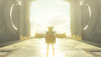 NINTENDO SWITCH THE LEGEND OF ZELDA: TEARS OF THE KINGDOM