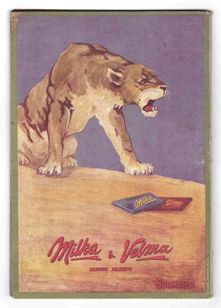 Manifesto pubblicitario storico della Suchard: una leonessa in posizione dominante ruggisce sopra una roccia, davanti a due tavolette di cioccolato “Milka” e “Velma”. Lo sfondo è viola, con cornice verde, e in basso compare la dicitura “Milka & Velma – Dessert Squisito – Suchard”.