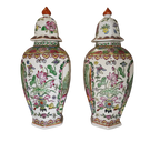 Vaso - Fiori - Coppia vasi esagonali Famiglia Rosa Shou Lao Made in Macau - mazzotta.store