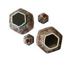 Vaso - Fiori - Coppia vasi esagonali Famiglia Rosa Shou Lao Made in Macau - mazzotta.store