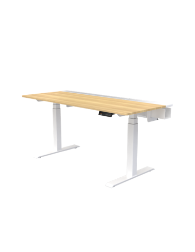 DEZCTOP DESK GAMBE MOT per BIFROST ELITE 160 & 120  DK-BFTEUDF-SEU WHITE-4710578830843